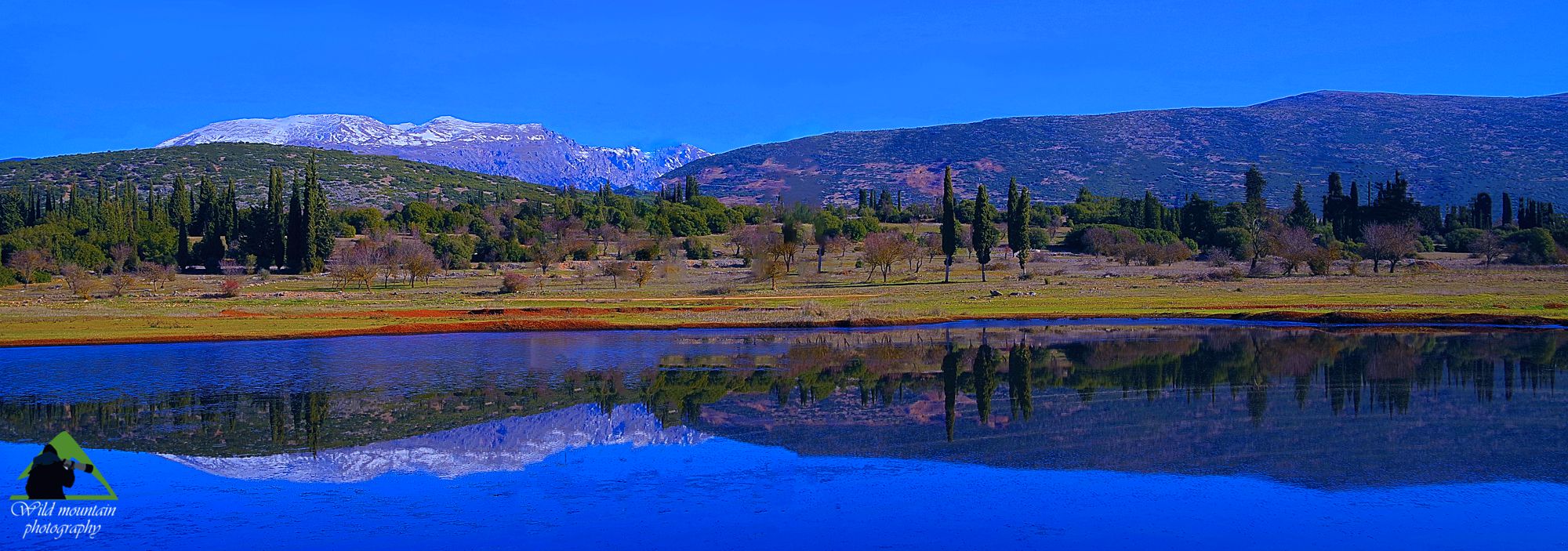 Οι πόλγες της Στερεάς Ελλάδας: Η πόλγη της Δεσφίνας με φόντο τον Παρνασσό