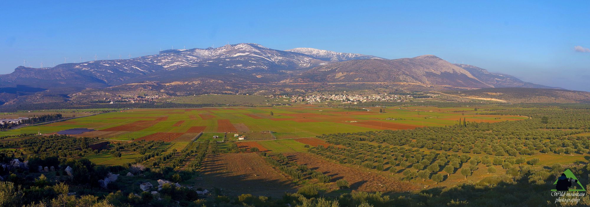 Οι πόλγες της Στερεάς Ελλάδας: Η πόλγη Λικέρι κάτω από την εποπτεία της Παλιοβούνας, ψηλότερης κορυφής του Ελικώνα