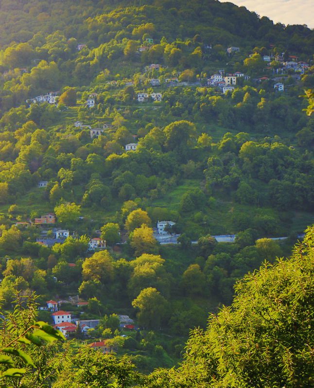 Ανατολικό Πήλιο topoguide