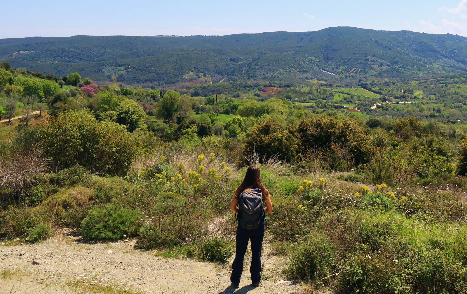 Long Pelion Trail