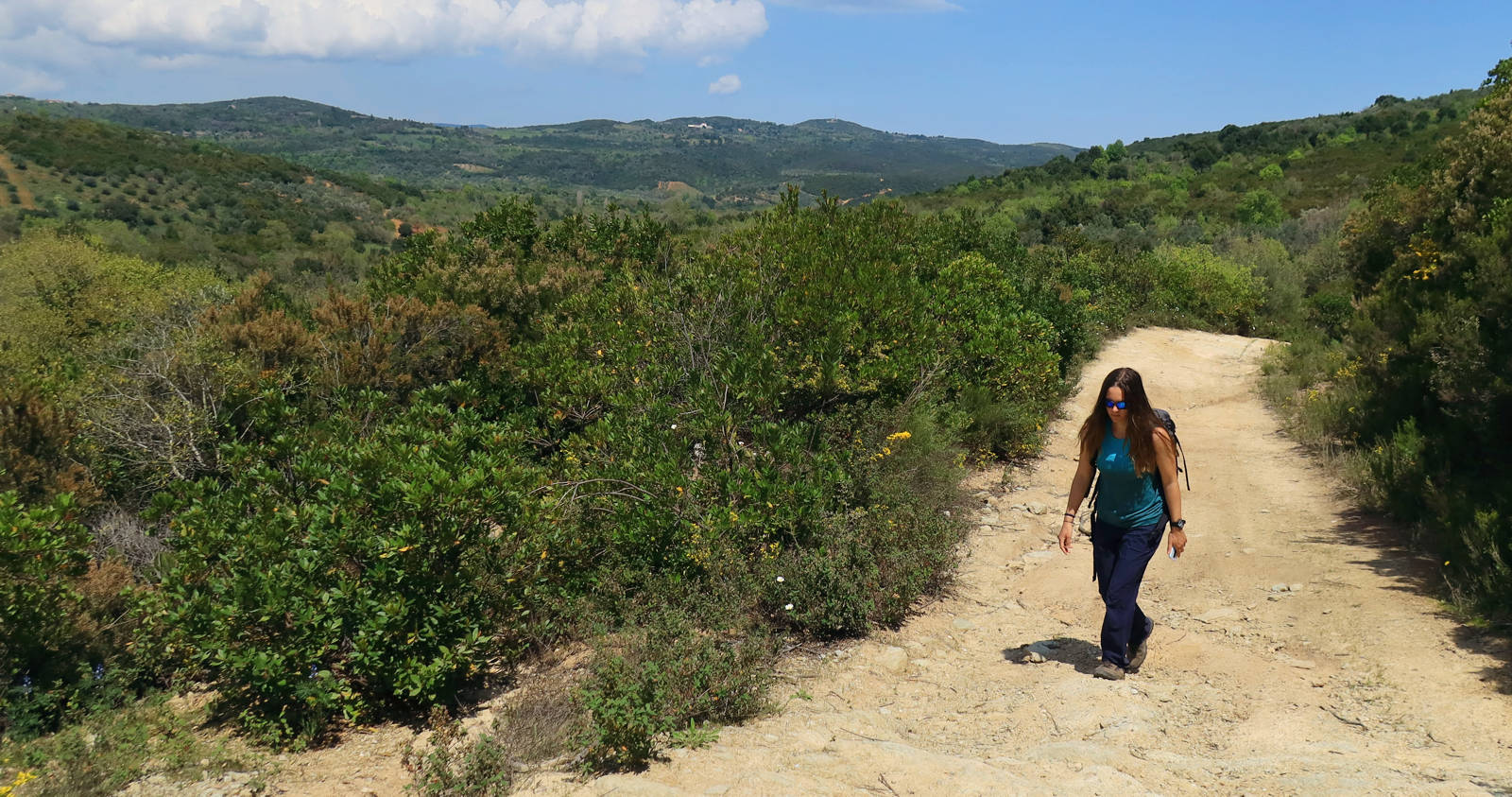 Long Pelion Trail