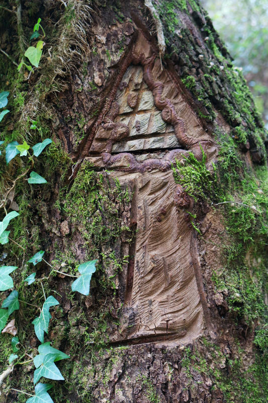 Long Pelion Trail: Σήμανση (από ξωτικά ?) στα δρυοδάση του Πλατανιά