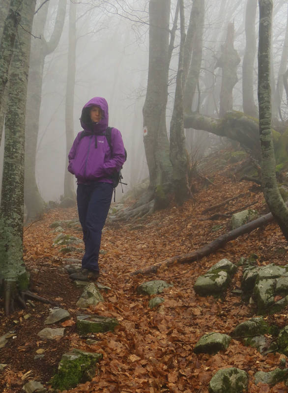 Long Pelion Trail: Στο Μοναστηράκι