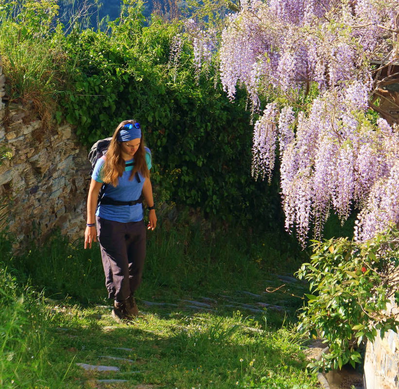 Long Pelion Trail: Μέσα στη Μακρινίτσα Long Pelion Trail: Μέσα στη Μακρινίτσα