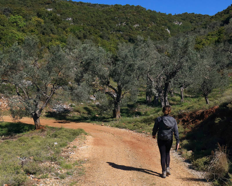 Long Pelion Trail: Περπατώντας προς τη Χονδρή Άμμο