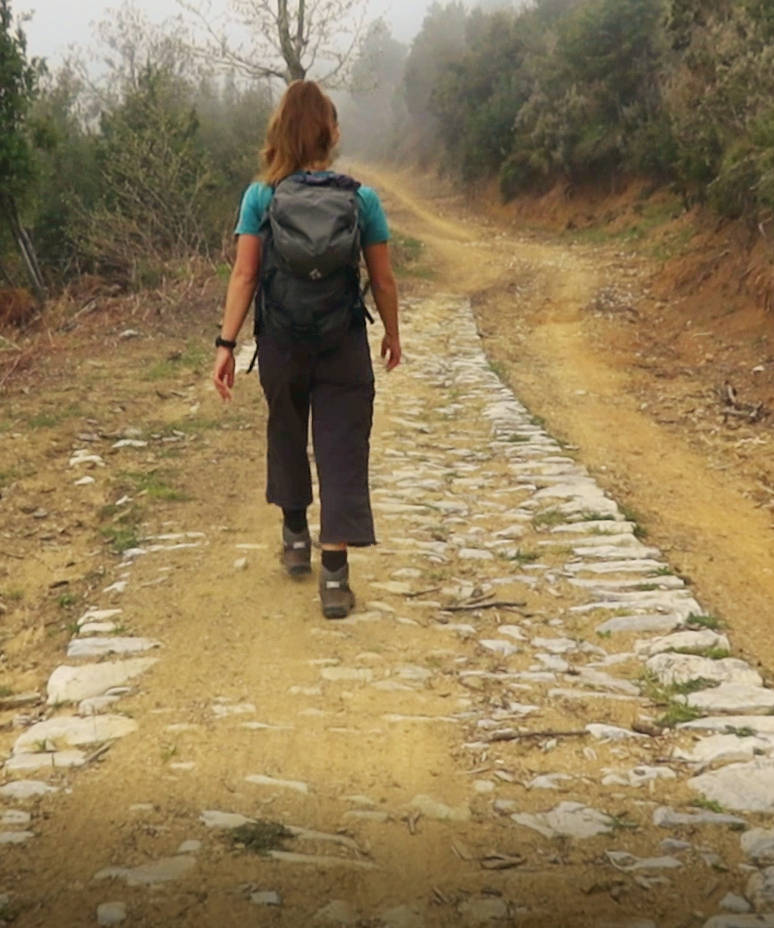 Long Pelion Trail: Ο παλιός πετρόχτιστος καρόδρομος διατηρείται μέσα στον άξονα του χωματόδρομου