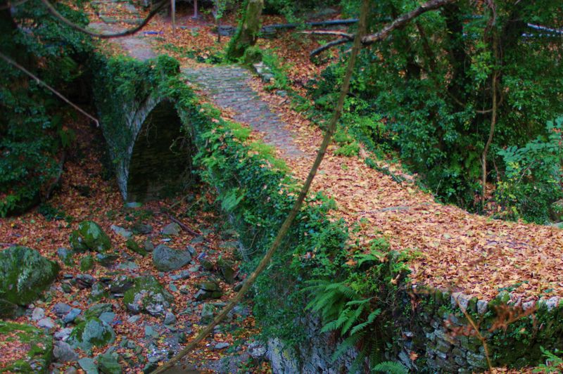 Long Pelion Trail