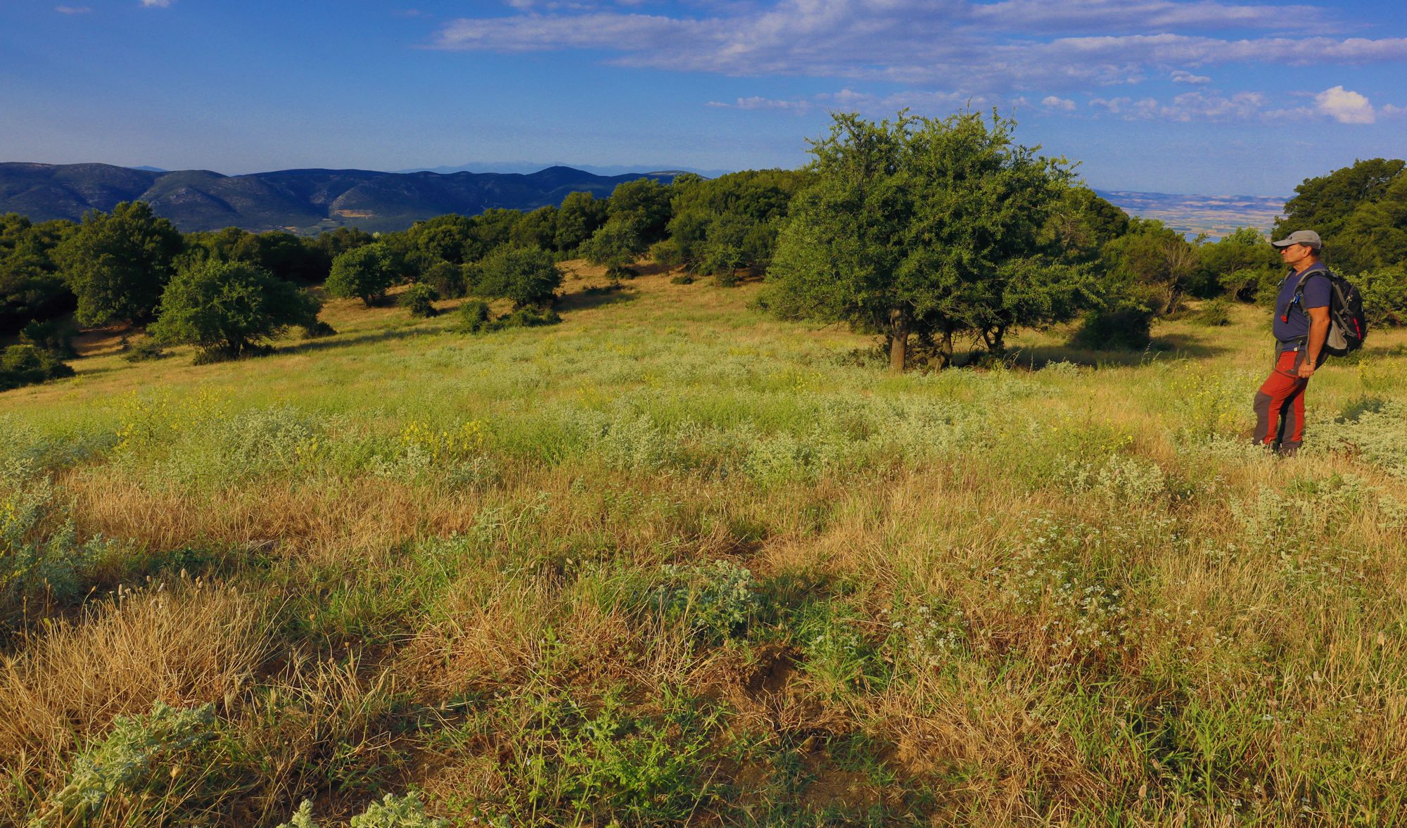 Βόρειο Πήλιο topoguide: Κανάλια-Άνω Κερασιά