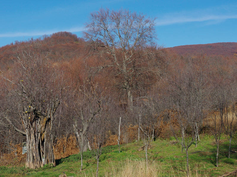 North Pelion topoguide