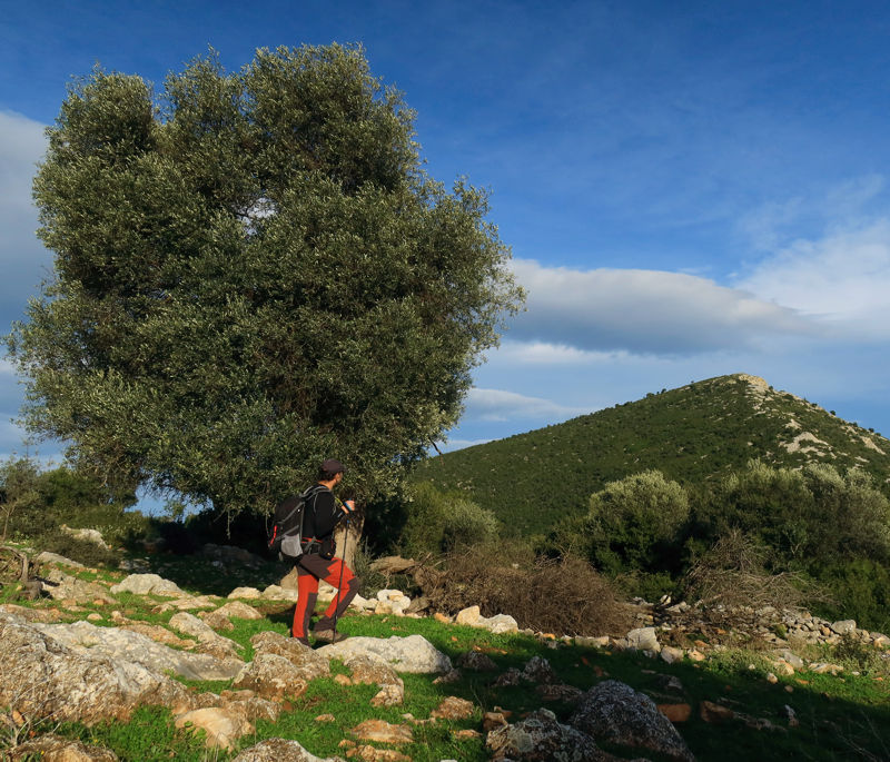 Νότιο Πήλιο topoguide