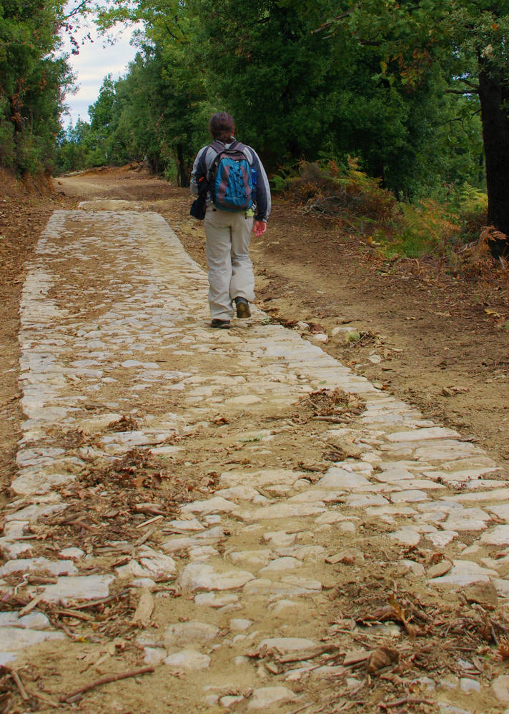 Δυτικό Πήλιο topoguide