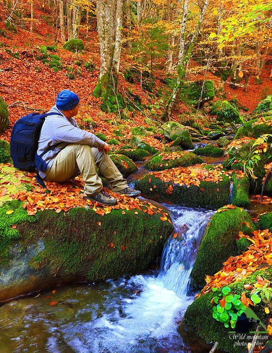 Ορειβασία και πεζοπορία στη Ροδόπη: Στο Τζάκι ρέμα του Φρακτού Εθνικό Πάρκο Οροσειράς Ροδόπης