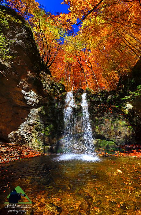 Τοπίο και βιότοποι της Ροδόπης: Οι καταρράκτες του ρέματος Βαγγελίνας Ροδόπη topoguide
