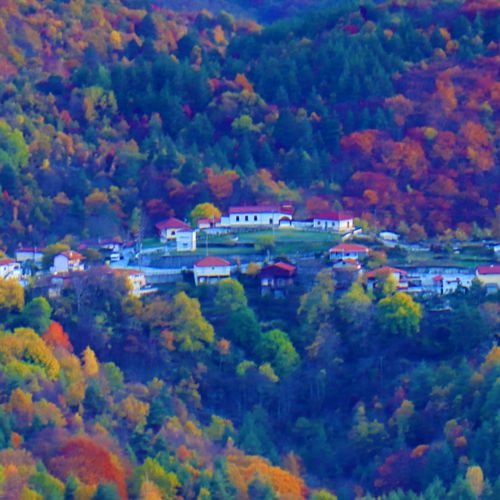 Τοπίο και βιότοποι της Ροδόπης: Ο πυρήνας της Σκαλωτής, Ελατιά Ροδόπη topoguide