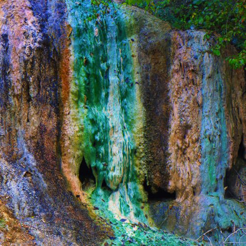 Τοπίο και βιότοποι της Ροδόπης: Λεπτομέρεια των θερμοπηγών στα Θερμιά Παρανεστίου Ροδόπη topoguide