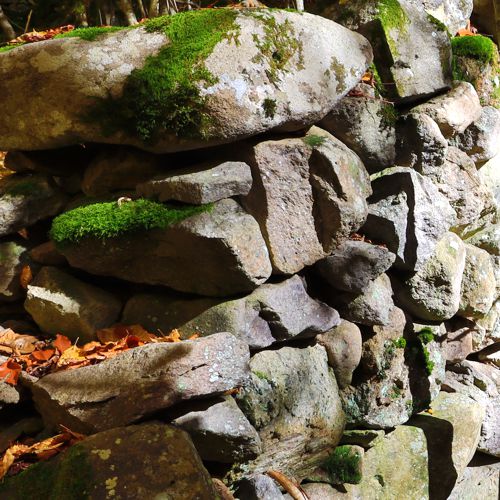 Τοπίο και βιότοποι της Ροδόπης: Ερείπια στο Λυκόρεμα Φρακτού Ροδόπη topoguide