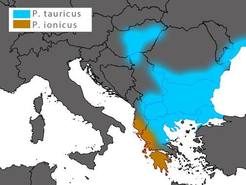 Ζάκυνθος topoguide