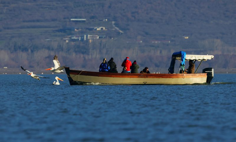 Εθνικό Πάρκο Λίμνης Κερκίνης: Ιππικές περιηγήσεις στη λίμνη