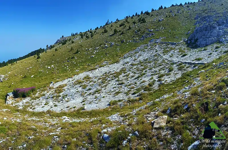 Όλυμπος topoguide