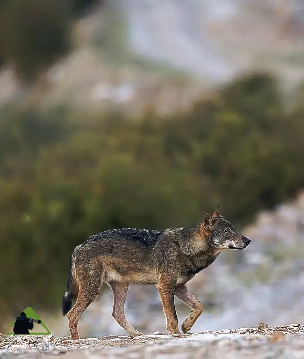 Όλυμπος topoguide