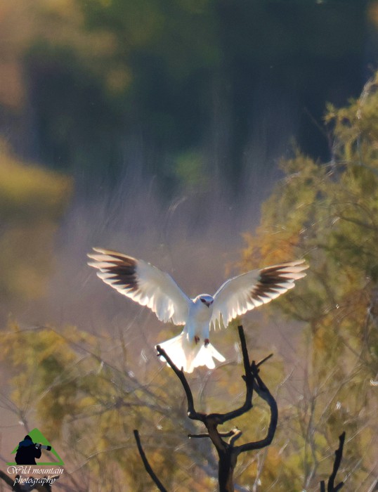 Μικρή Αττική topoguide
