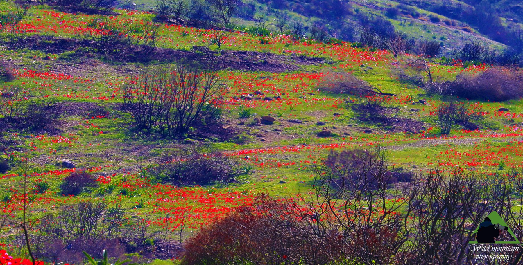 Εθνικός Δρυμός Σουνίου: Αντιθέσεις μιας γης που έχει ζήσει κάτω από πίεση