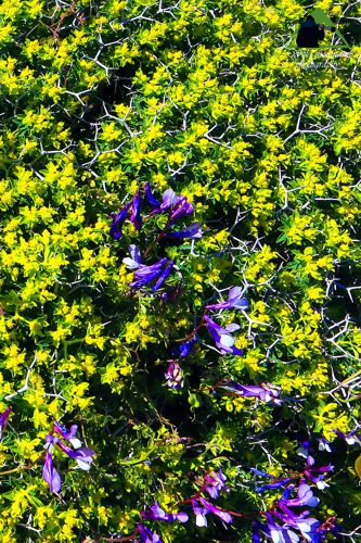 Μικρή Αττική topoguide