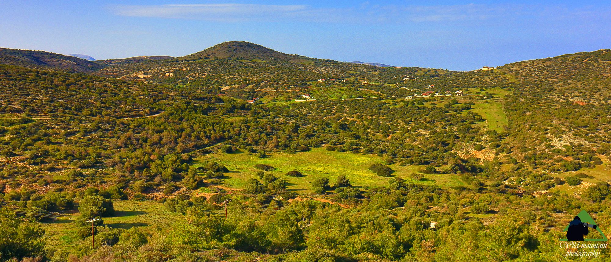 Η βλάστηση του Ε.Δ. Σουνίου: Η κοιλάδα της Αγριλέζας, το πιο αντιπροσωπευτικό τοπίο του δρυμού