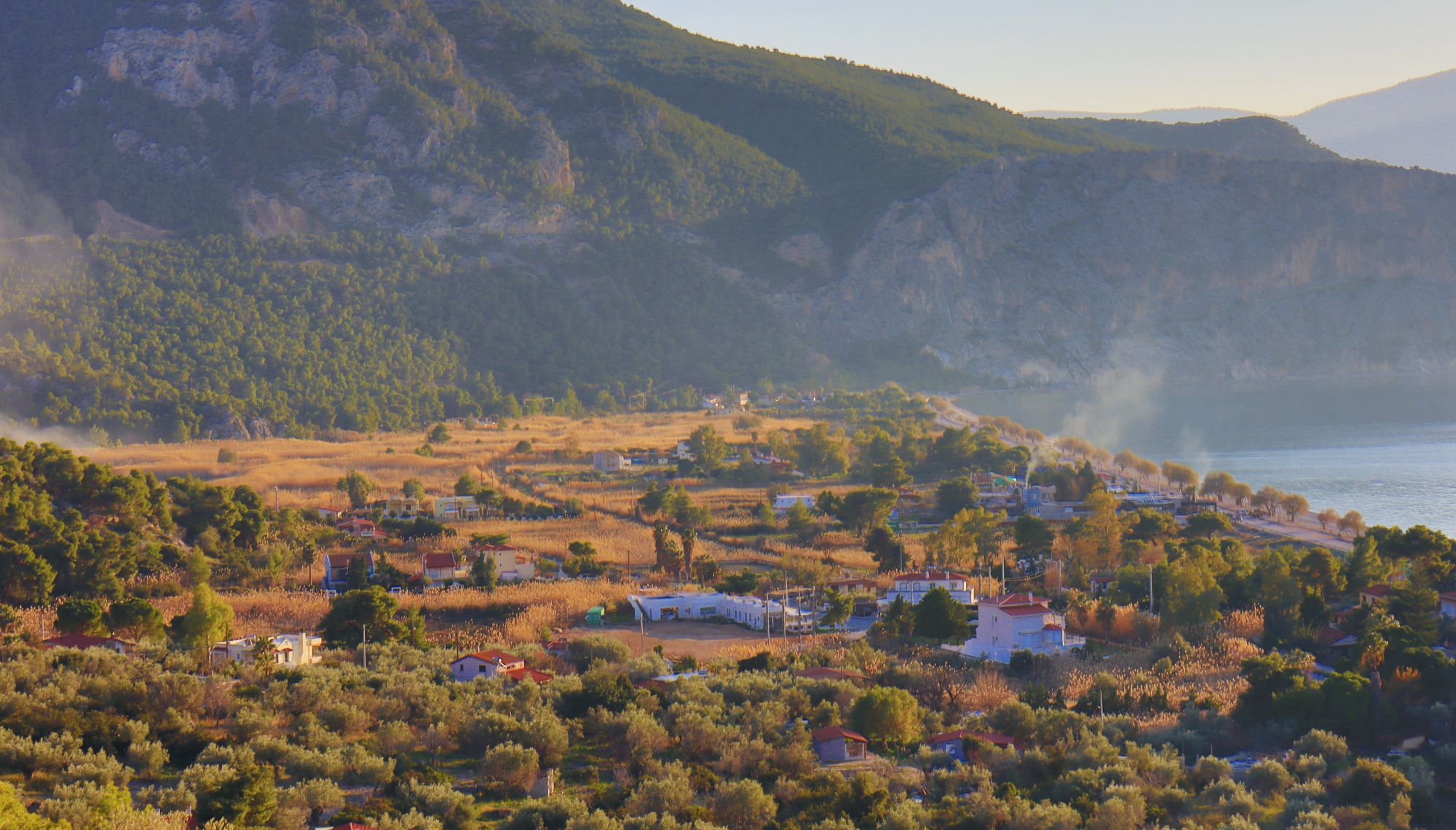 Παράκτιο Έλος Ψάθας: Γενική εικόνα του υγροτόπου