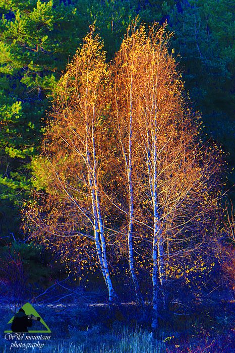 Ε.Π. Ροδόπης topoguide