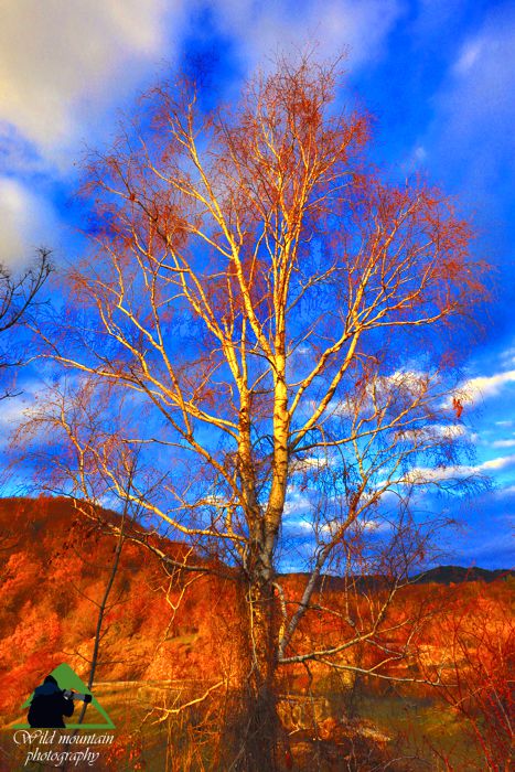 Ε.Π. Ροδόπης topoguide