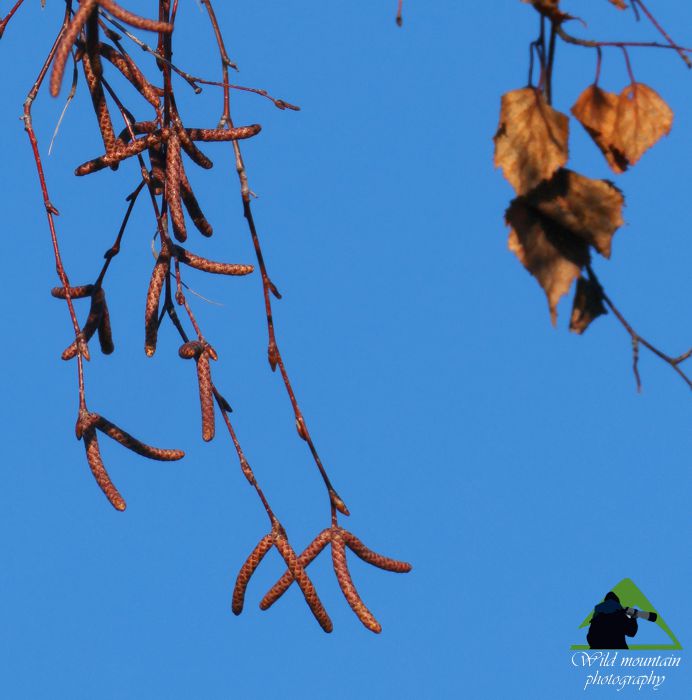 Ε.Π. Ροδόπης topoguide