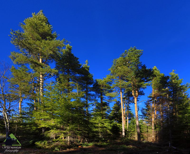 Βάλια Κάλντα topoguide